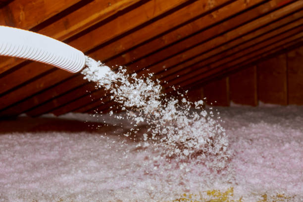 Best Eco-Friendly Insulation in Weldon Spring, MO