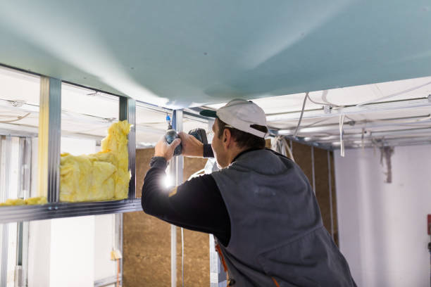 Types of Insulation We Offer in Weldon Spring, MO