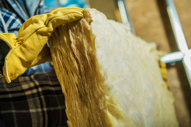 Best Cellulose Insulation in Weldon Spring, MO